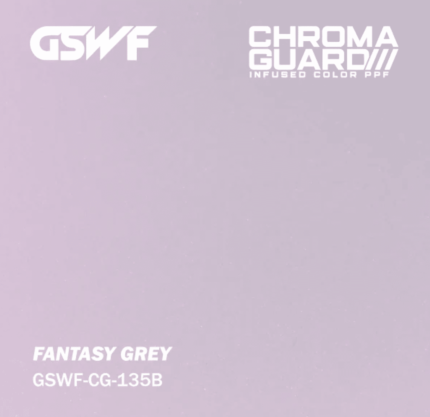 GSWF Fantasy Grey (Metallic) Color PPF swatch