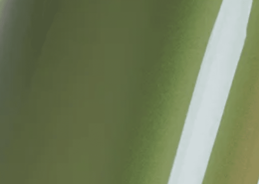 GSWF Viper Green (Metallic) Color PPF swatch